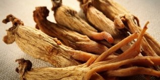 it is possible to increase a member of the ginseng